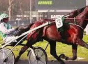 Quiz Le cheval de trot