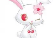 Quiz Jewelpet