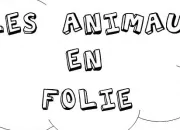 Quiz Un vrai/faux animalier