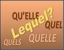 Dans laquelle de ces phrases ne faut-il pas écrire "qu'elles" ?