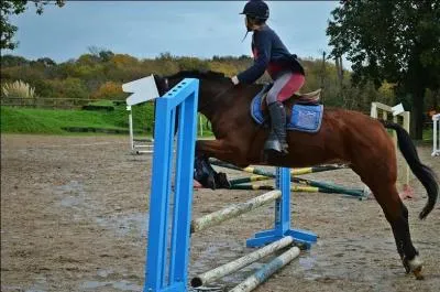 Posture du cavalier à l'obstacle - La position en équilibre.