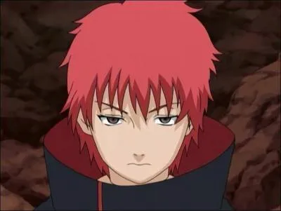 Quel est le surnom de Sasori ?