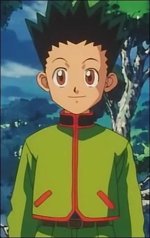 Gon en 1999 ou en 2011 ?