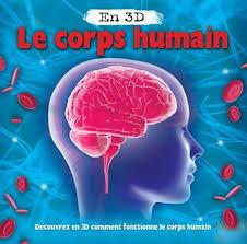 Quiz Corps humain