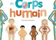 Quiz Les secrets du corps humain (4)