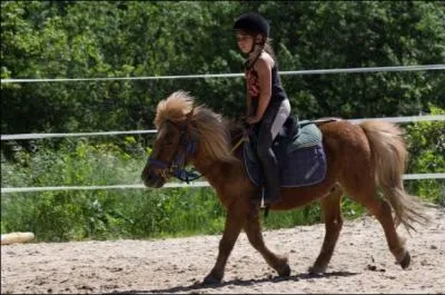 Qu'est-ce que le trot enlevé ?