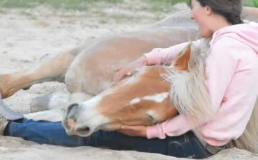 Quiz Chevaux