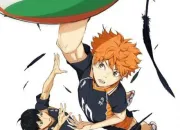 Quiz Haikyuu !