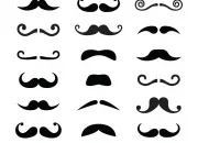 Quiz On va se friser les moustaches