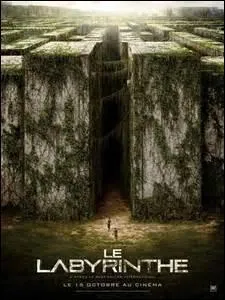 Quel est le vrai nom du film ?