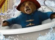 Quiz Paddington