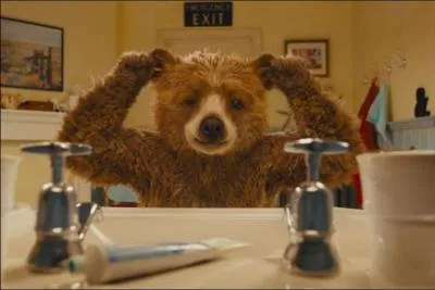 Avec quoi Paddington se brosse-t-il les oreilles ?