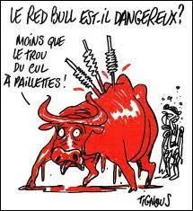 La couleur rouge excite les taureaux.