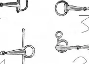 Quiz Les diffrents types de mors