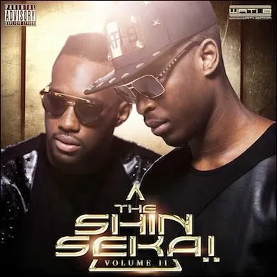 Comment s'appellent les deux chanteurs de "The Shin Sekaï" ?