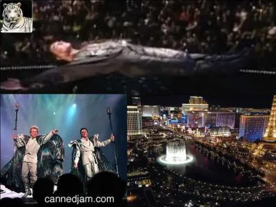 Siegfried et Roy sont deux magiciens-illusionnistes germano-américains. Ils ont passé ensemble une grande partie de leurs carrières à Las Vegas. En 2003, ils furent obligés d'arrêter leur spectacle. Connaissez-vous la raison ?