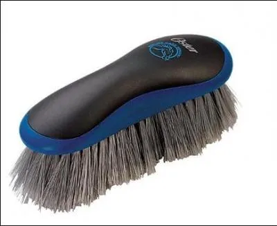 Comment s'appelle cette brosse ?