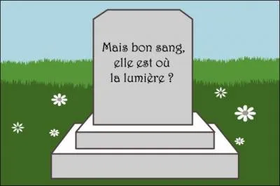 Commençons par une facile : 'Ci-gît Allais - sans retour' . Quel était son prénom ? (Vous avez encore le temps de (re) lire le descriptif et surtout les consignes.)