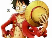 Quiz Quizz pour les fans de One Piece