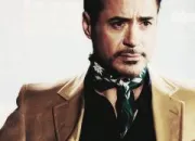 Quiz Robert Downey, Jr