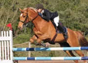 Quiz Galop 4 : saut