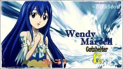 Cochez les bonnes informations sur ce personnage de "Fairy Tail".