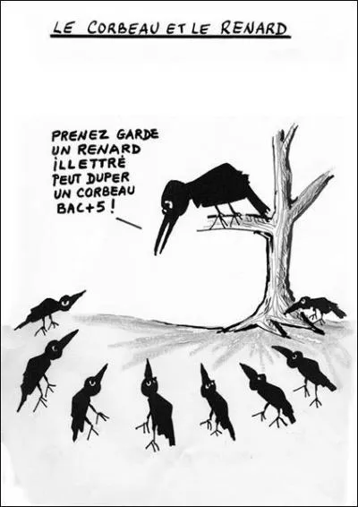 Quel est le cri du corbeau le soir quand il rejoint ses congénères en haut de la cime des arbres