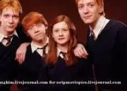 Quiz Les Weasley