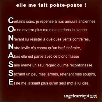 Le mot 'acrostiche' est-il dans le dico ? (Il n'est pas trop tard pour (re) lire le descriptif.)