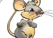 Quiz Les souris dans tous leurs tats !