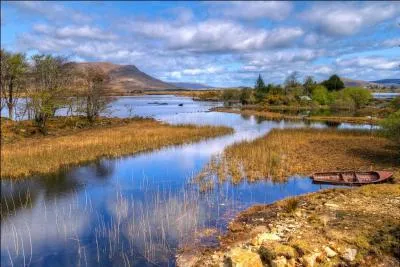 Quel est le symbole de l'Irlande ?