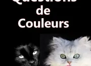 Quiz Questions de couleurs