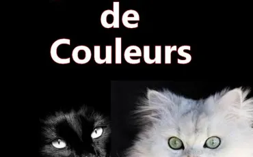 Quiz Couleurs