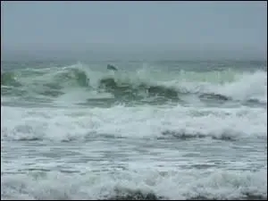 Quel mot n'appartient pas au domaine de la mer ?