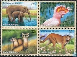 Observez ces timbres de plus près, combien de mammifères y voyez-vous au total ?