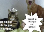 Quiz Les animaux dans les chansons (facile)