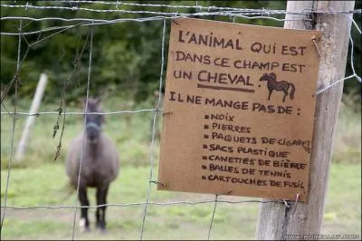 Stewball est un cheval d'une chanson d'Hugues Aufray. De quelle couleur était-il ? (Agrandissez la photo ! ) ;-)