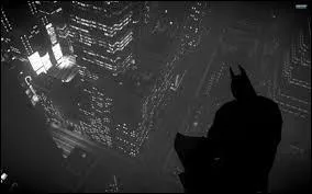 Ce personnage de fiction, au passé tourmenté, fait régner la justice lorsque la nuit tombe sur la ville de Gotham. Au grand jour, il est connu sous l'identité de :