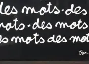 Quiz Jouons avec les mots