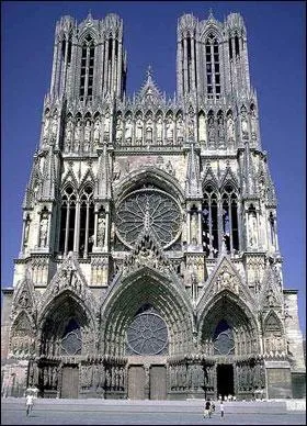 Quels insectes pourrait-on qualifier de "bâtisseurs de cathédrales" ?