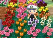 Quiz Les fleurs dans 'Animal Crossing'