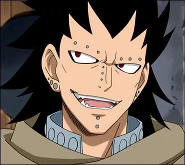 Je suis un membre de la guilde « Fairy Tail » et suis le Chasseur de Dragon d'Acier. Qui suis-je ?