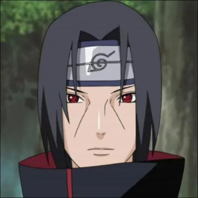 Je suis un Nukenin et membre de l'organisation Akatsuki. Je me nomme :