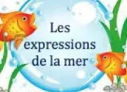 Quiz Expressions issues du vocabulaire marin