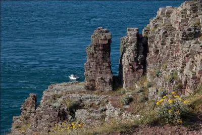 Quelle mer voit-on du haut des falaises du cap Fréhel ?