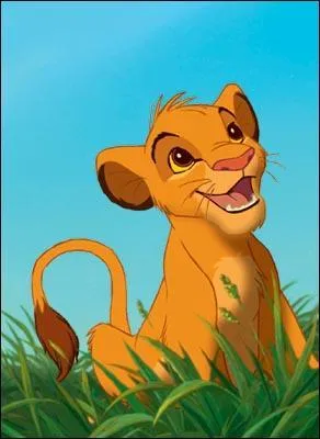 Le principal héros de ce film est Simba. Question très facile pour commencer, Simba est un ...