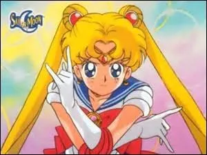 Quel est le personnage principal de Sailor Moon ?