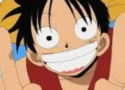 Quiz One Piece : chapitre 1