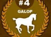 Quiz Galop 4 FFE