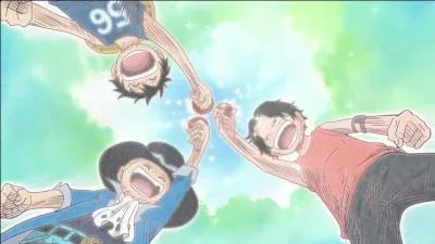 Comment s'appelle la personne qui a élevé Luffy, Ace et Sabo ?